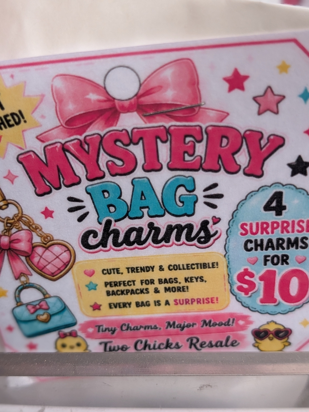 Mystery Bag Charms
